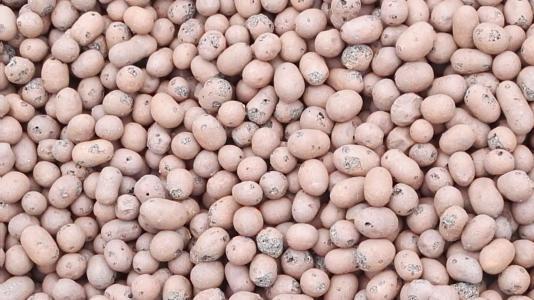 生物陶粒濾料
